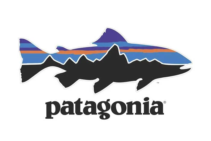 Marketing de valores - Patagonia
