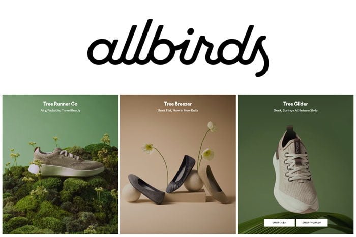 Allbirds Marketing sostenible